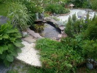 /album/rusticgarden/vesiaihe-jpg1/